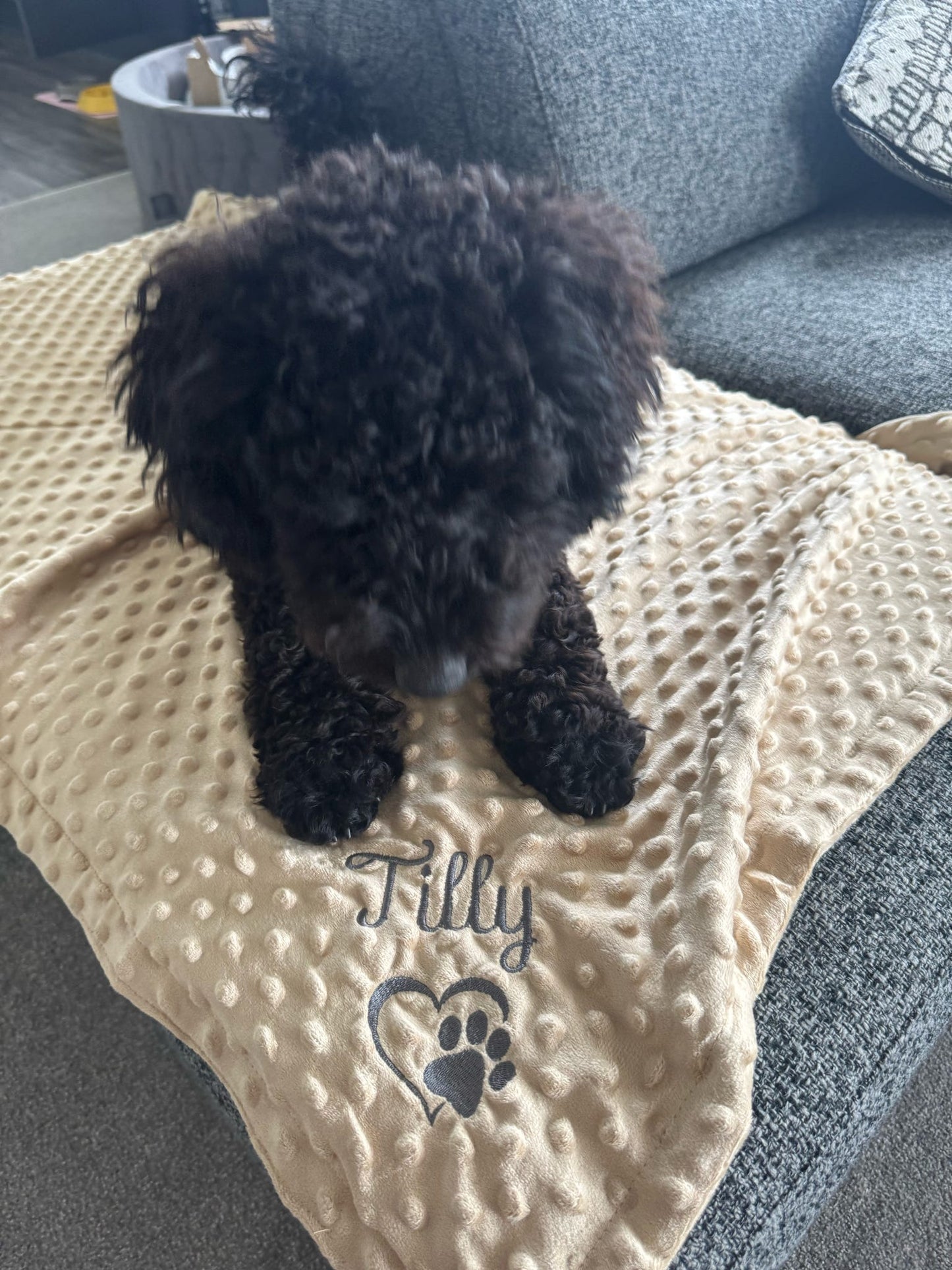 Embroidered Personalised Pet Blankets