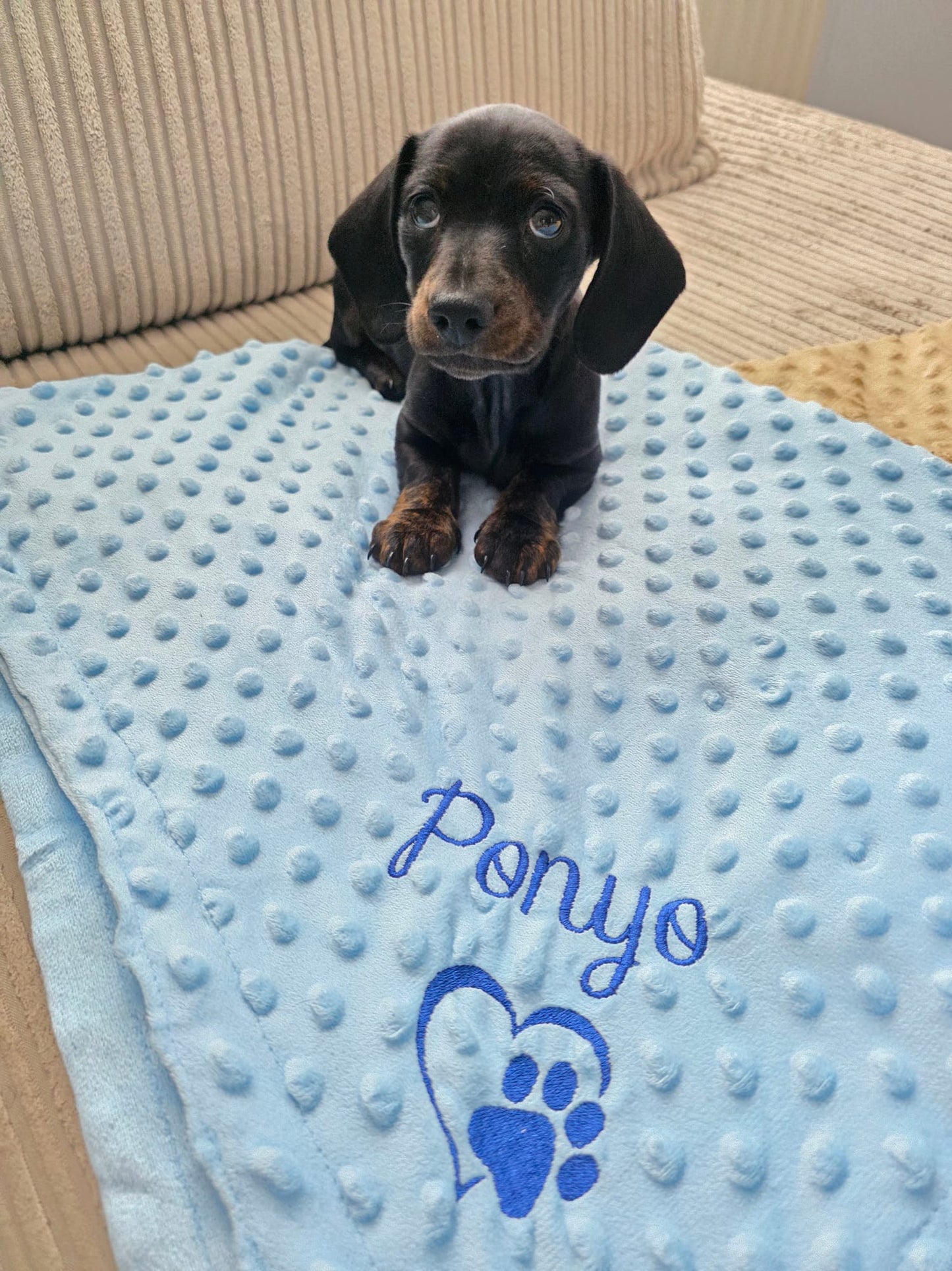 Embroidered Personalised Pet Blankets