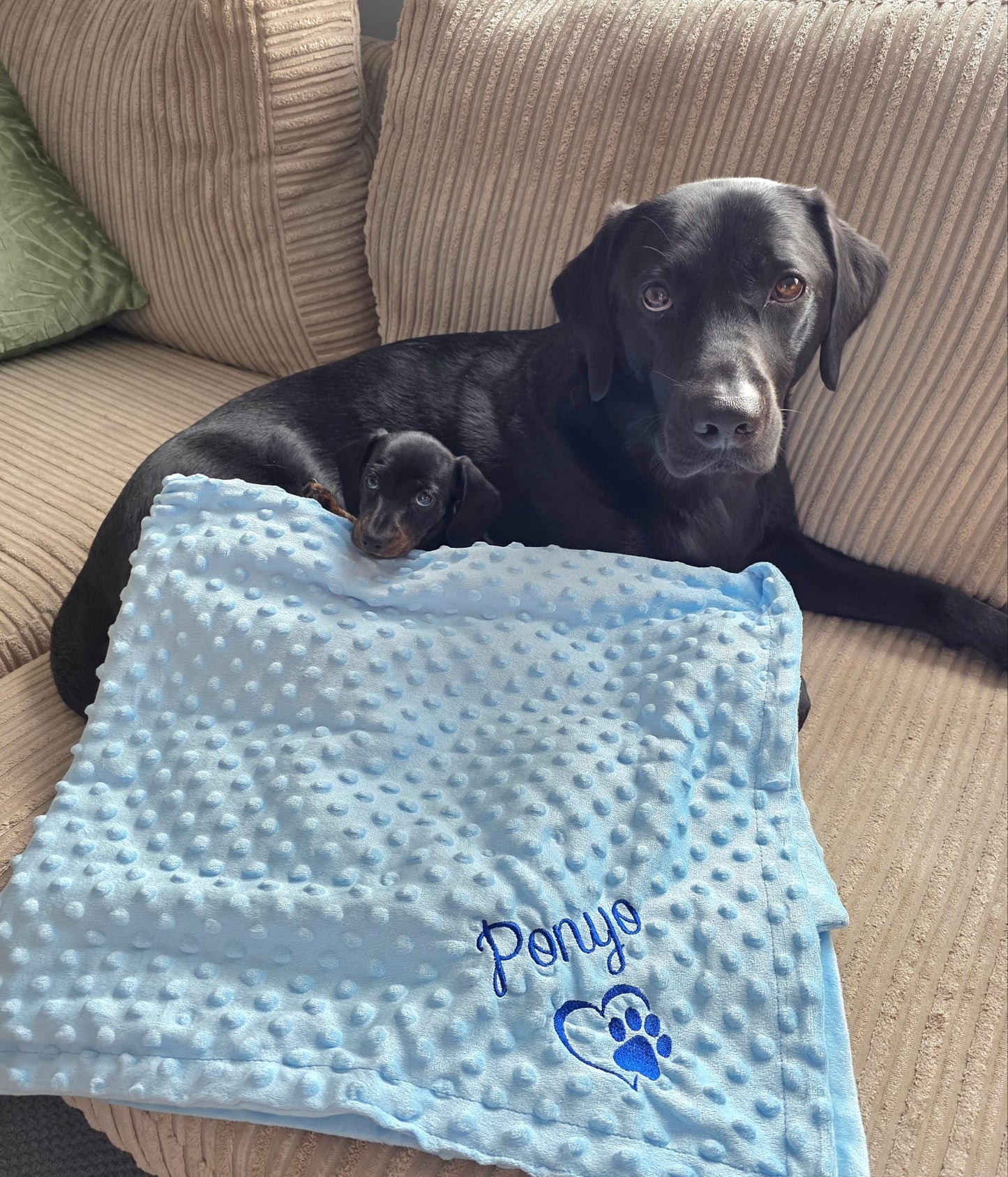 Embroidered Personalised Pet Blankets