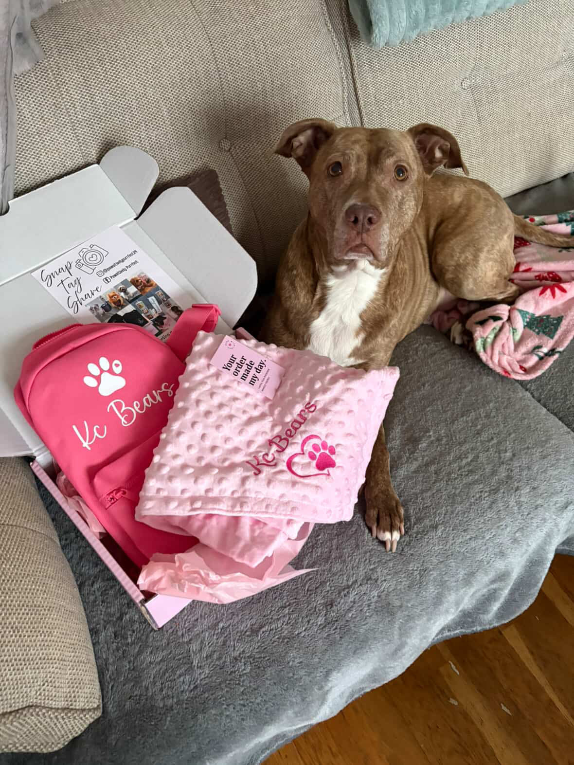 Embroidered Personalised Pet Blankets